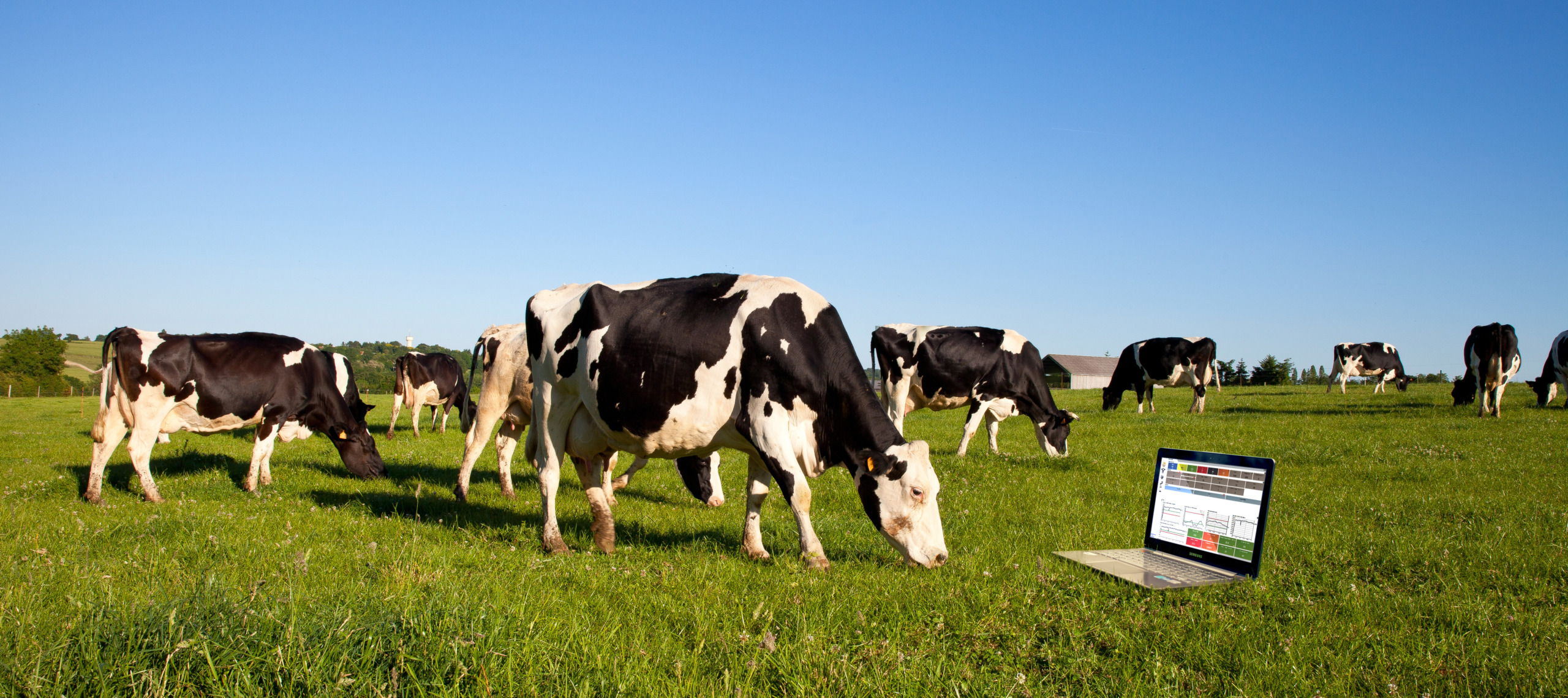 Why UNIFORMAgri? UNIFORMAgri