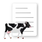 Animal record dairy cows