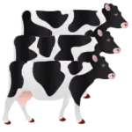 herd reports - UNIFORM-Agri cow software