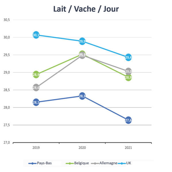 Lait : définition et explications