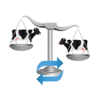 continuous herd balance