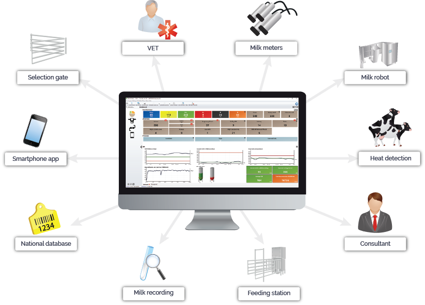 dairy cow management software