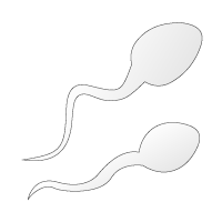 Fertility