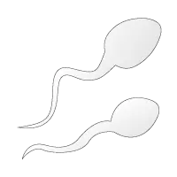 fertility