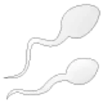 Fertility and reproduction