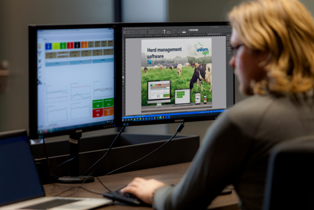 Daniel met indesign