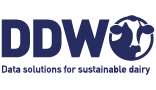 ddw