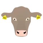 uniform beef