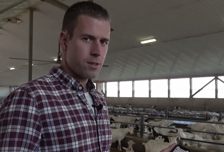 Dutchdelta Farms Ltd