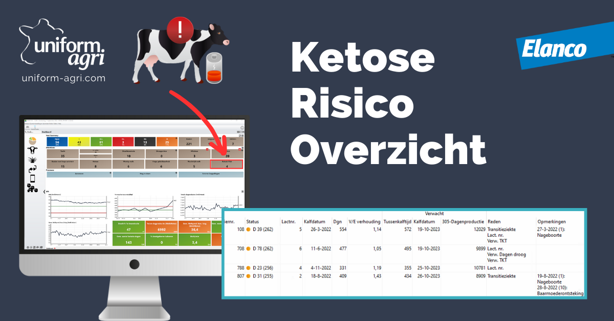 Ketose risico overzicht