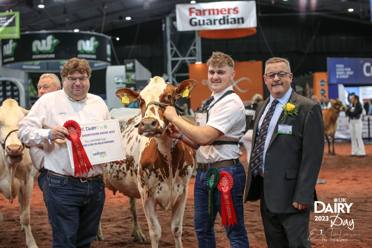 UNIFORM sponsored Dairy Shorthorn class UNIFORMAgri