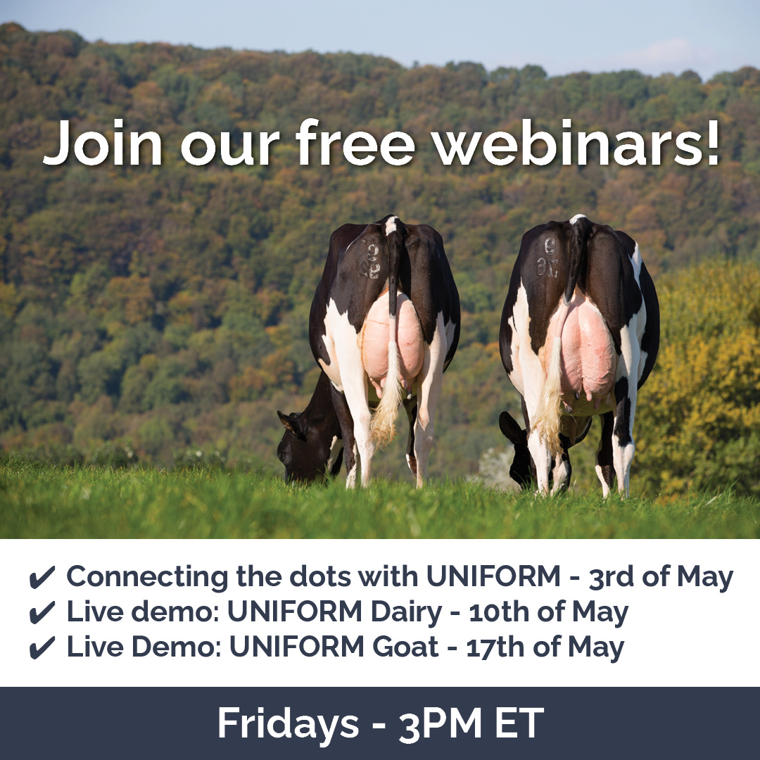 webinars US