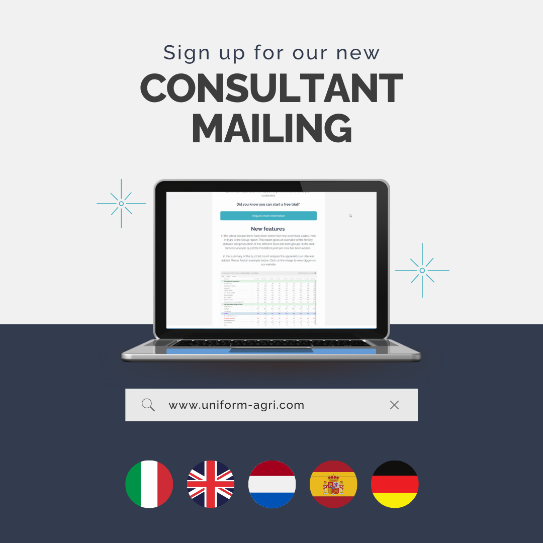 consultant mailing