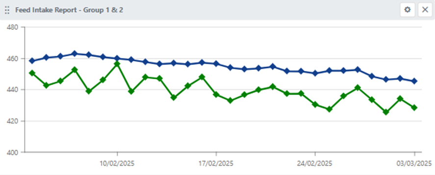 feed intake report