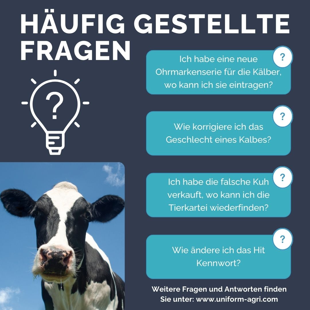 haufig gestellte fragen (faq) 
