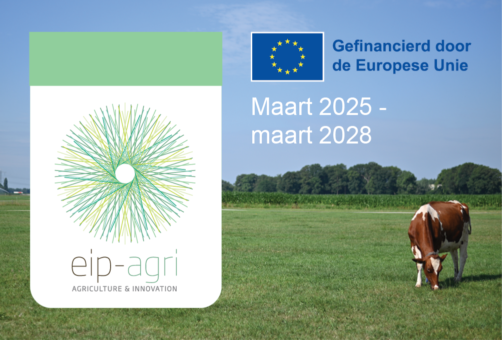 Website afbeelding 752×510